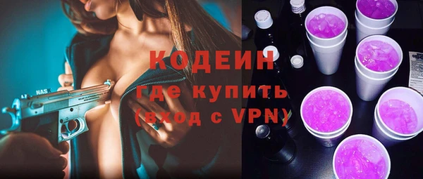 индика Арсеньев
