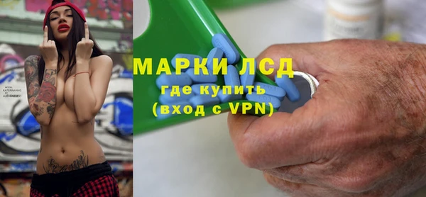 индика Арсеньев