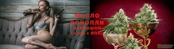 индика Арсеньев