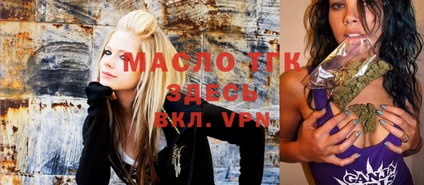 индика Арсеньев