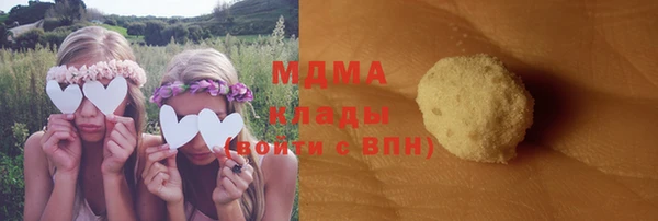 индика Арсеньев