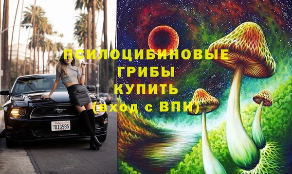 индика Арсеньев