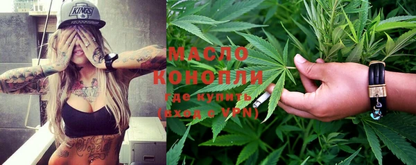 индика Арсеньев