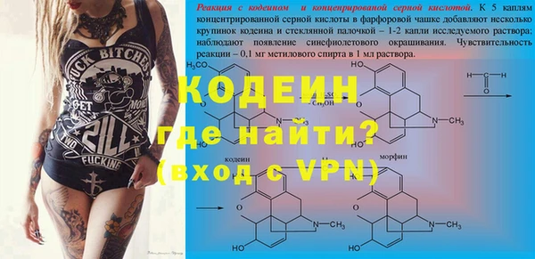 индика Арсеньев