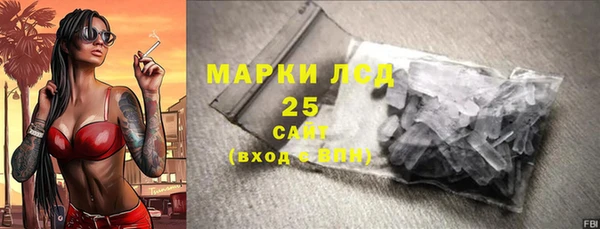 индика Арсеньев